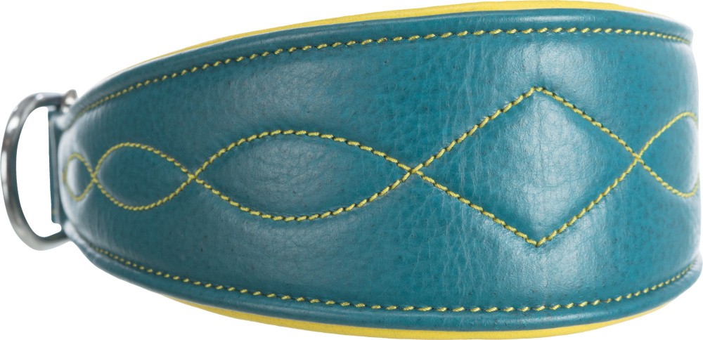 Leder-Halsband Für Windhunde - Weich Gepolstert Für Whippets, Salukis & Große Rassen